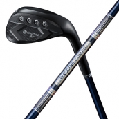 TS-31wedge BLACK with GR301